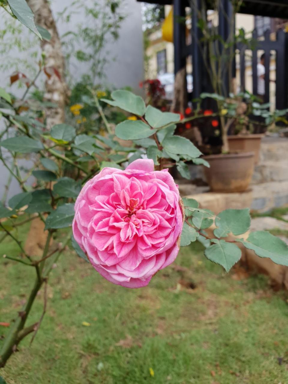 Sapa Charming Homestay Bagian luar foto